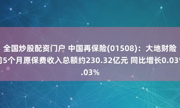 全国炒股配资门户 中国再保险(01508)：大地财险前5个月原保费收入总额约230.32亿元 同比增长0.03%