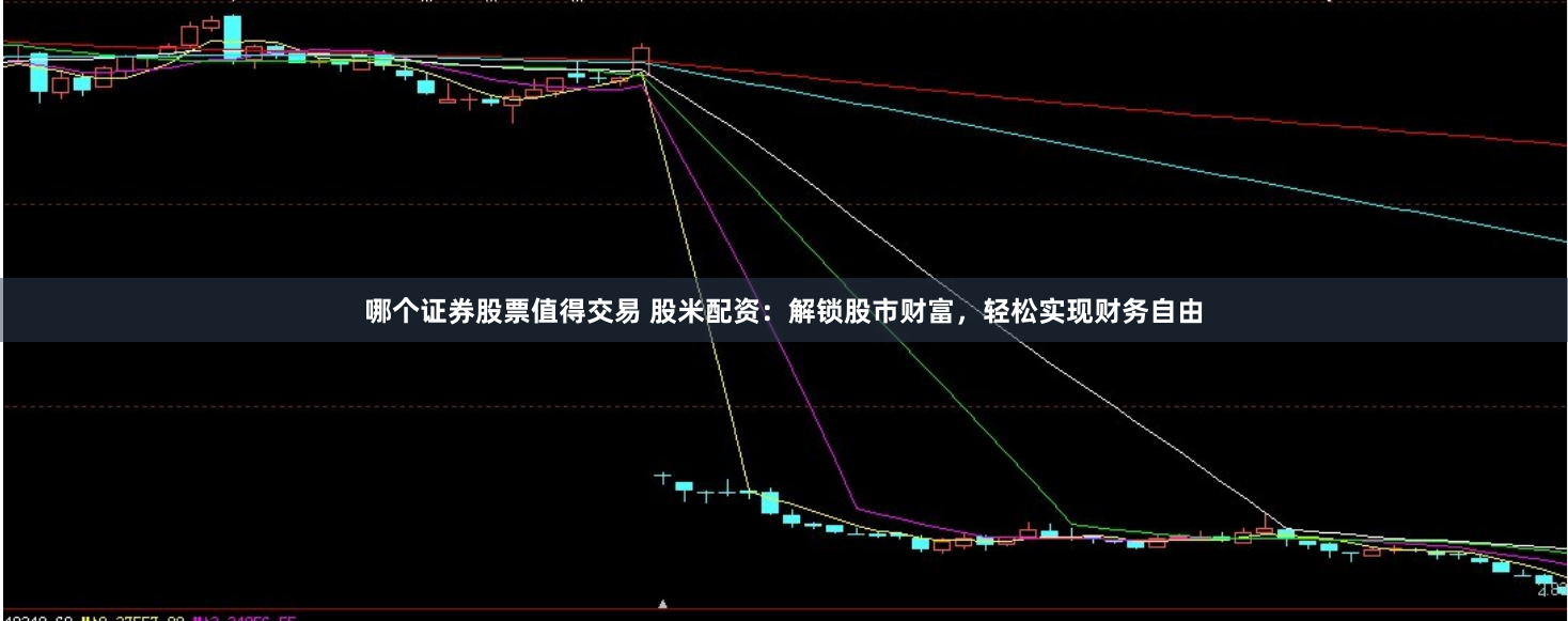 哪个证券股票值得交易 股米配资：解锁股市财富，轻松实现财务自由